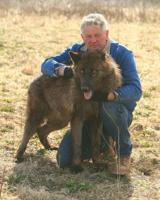 Q & A with John Basile